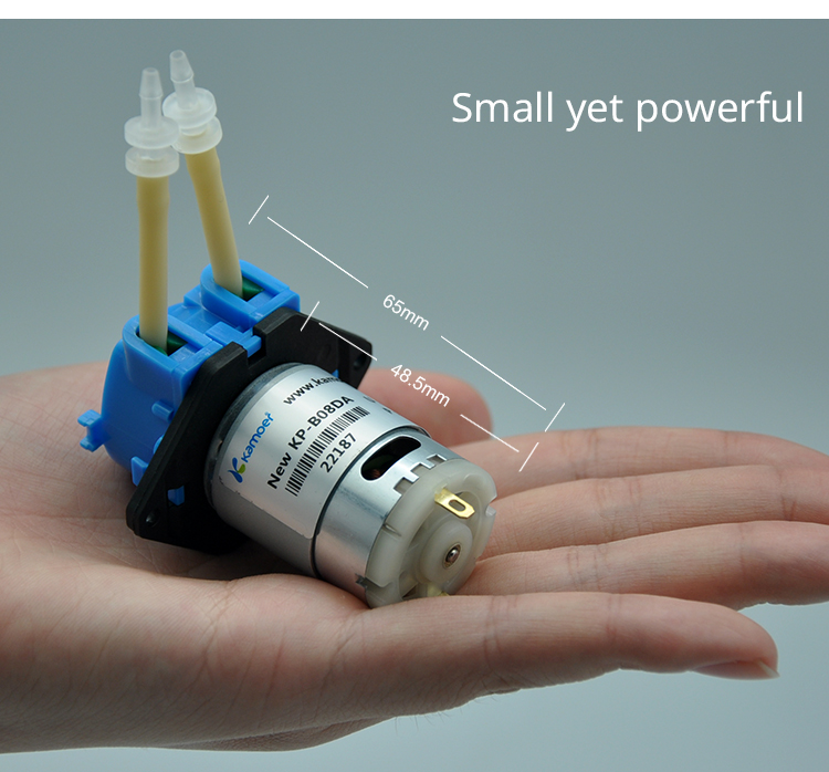 Dc Motor 12V - Nova bomba peristáltica de dosagem mini