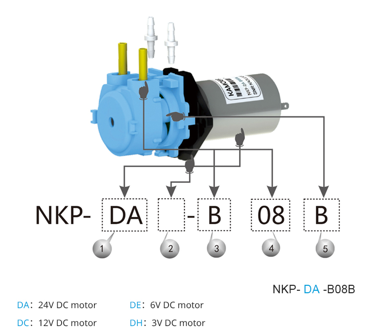 Nova bomba peristáltica de dos - Dc Motor 12V avaliação e preço